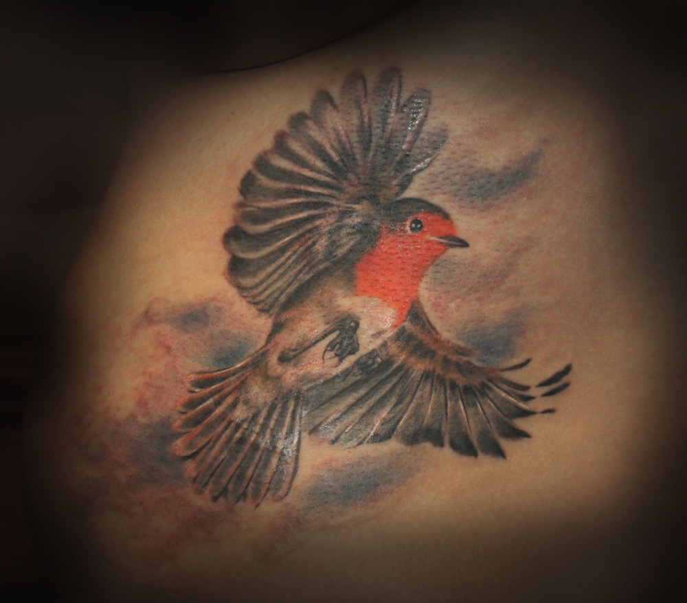 Rotkehlchen Tattoo von Inga