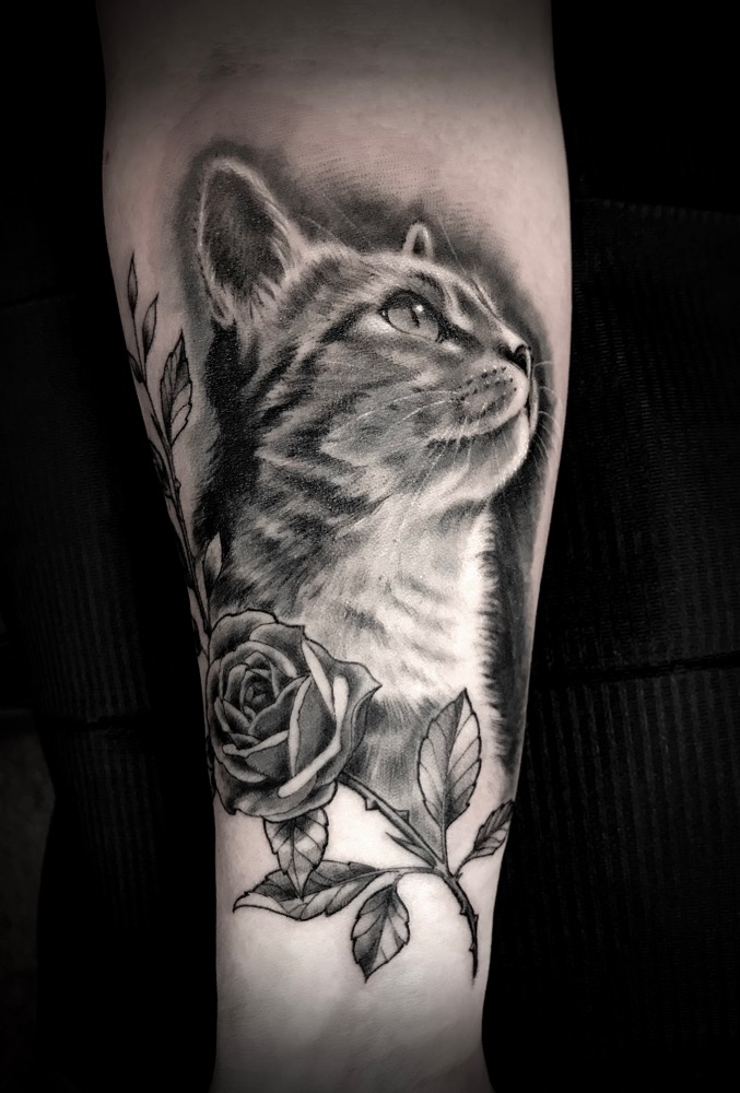 Katzenportrait mit Rose von Inga