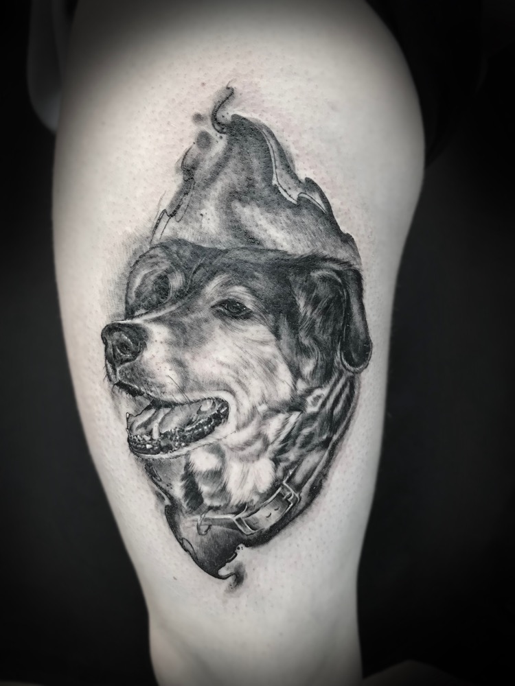 Hundeportrait von Inga